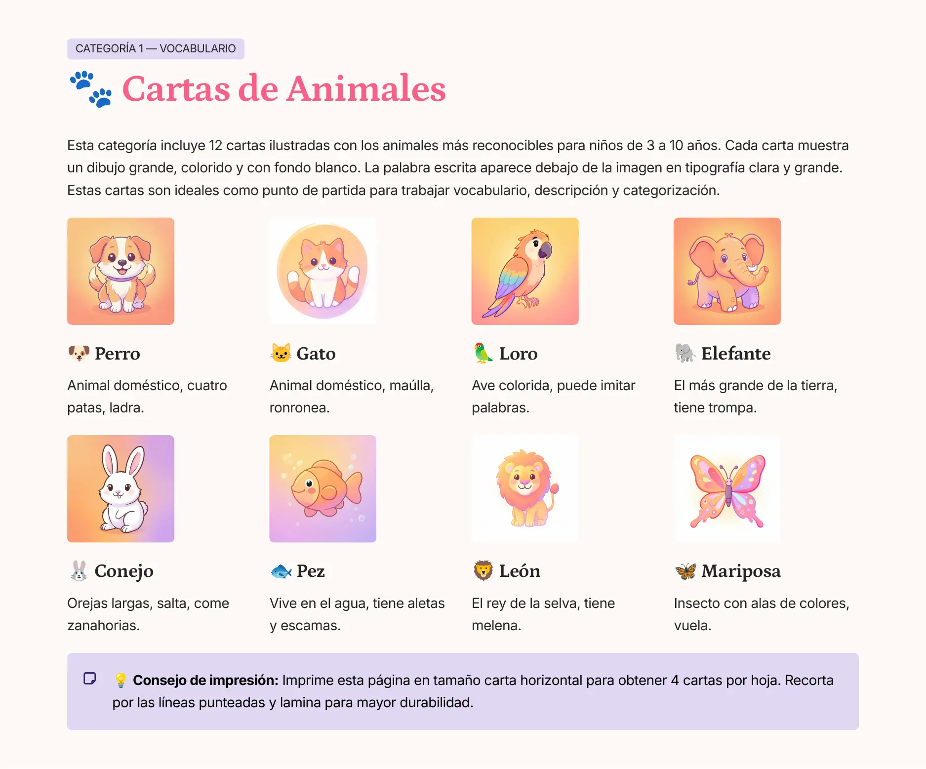 Cartas de vocabulario con imágenes por categorías